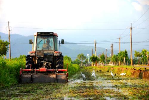 宜兰明水露渡假民宿