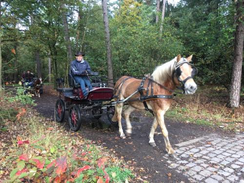 Vakantiewoning Pelterheggen