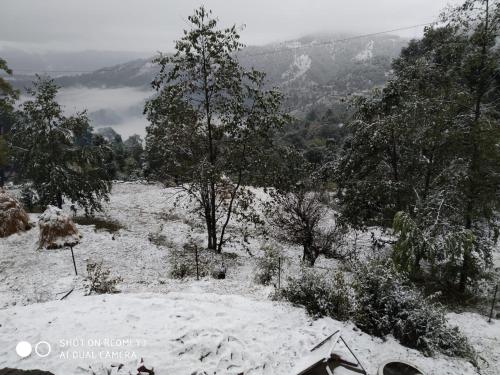 Janardan Studio Hotel Kausani