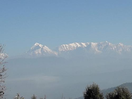 Janardan Studio Hotel Kausani