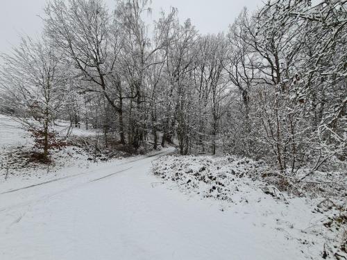 Ferienwohnungen an der Bosel