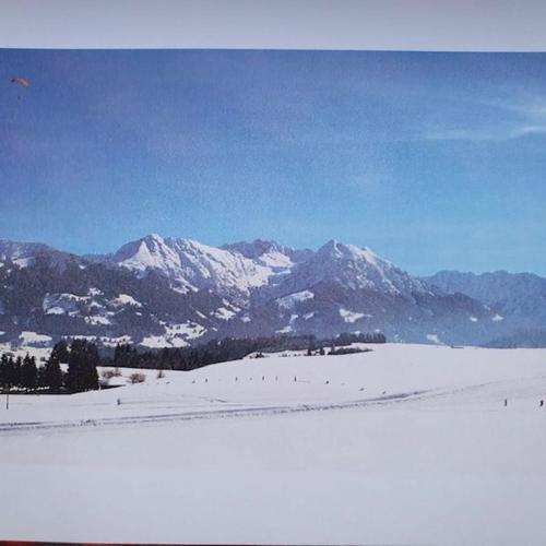 Bergkristall - Freie Fahrt Allgäuer Hörnerbahnen im Sommer