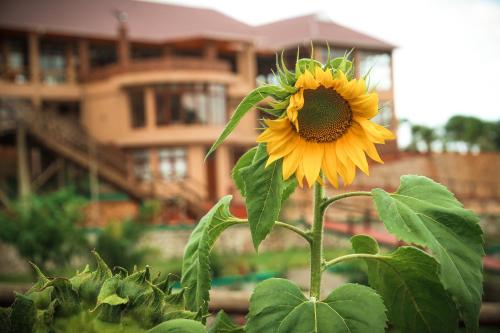 Ngorongoro Marera Mountain View Lodge photo 4