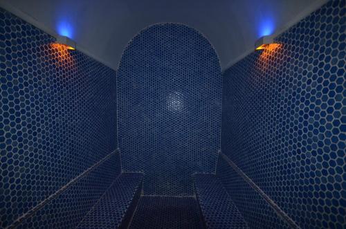 Snowflake Dag Hotel - image 14