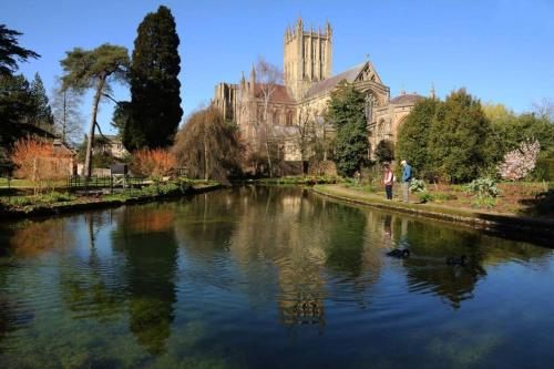 Prospect Perch - Studio Apartment, Wells