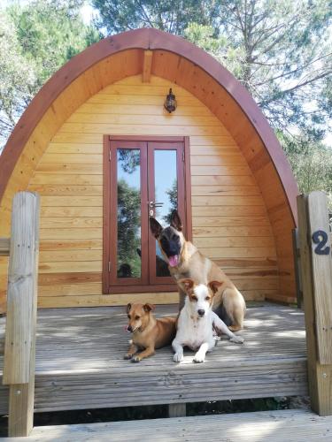  Glamping Sintra in Sintra