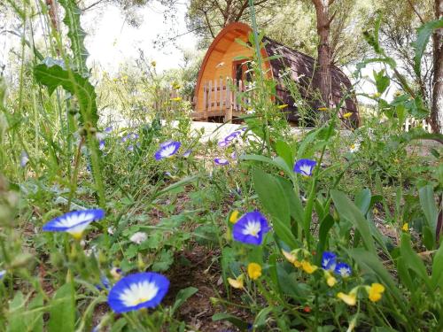 Glamping Sintra