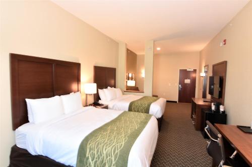 Comfort Inn & Suites - image 24