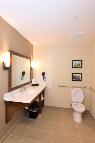 Comfort Inn & Suites - image 7