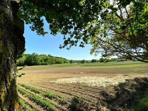 Gite du Mercadal Les Pujols Over view