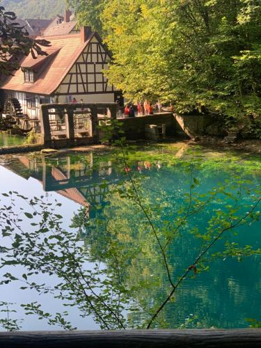 Hotel-Gasthof zur Linde in 朗格瑙