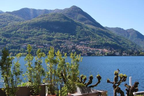 Hotel Orso Bruno - image 6