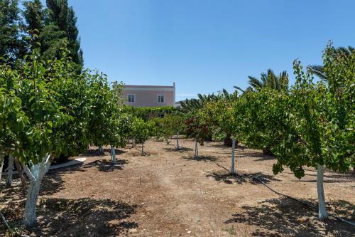 Villa Casa Del Sol Syros