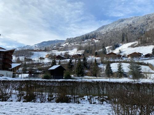Studio - La Vièze Thermes Park, Val dʼIlliez (Foto 10)