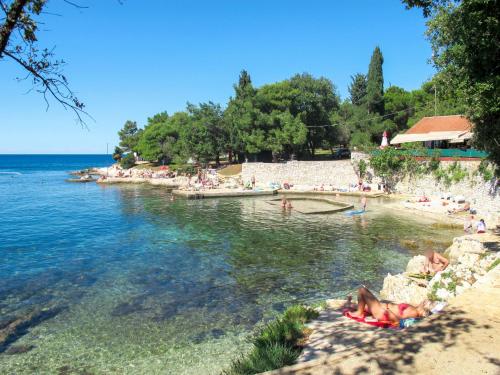  Apartment Damjan - KST156 in Kaštelir