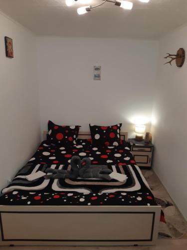 Florin Apartament, Sighişoara