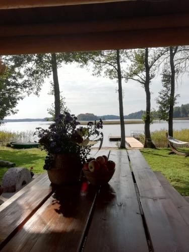 Saullēkti ozolos pie Ežezera (Saullekti ozolos pie Ezezera) in Ezernieki