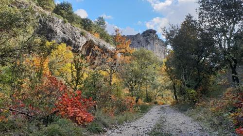 Le Refuge des Cigales