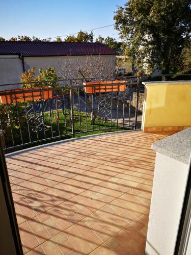 ملاعب سكواش, Apartma Apollonio in Izola