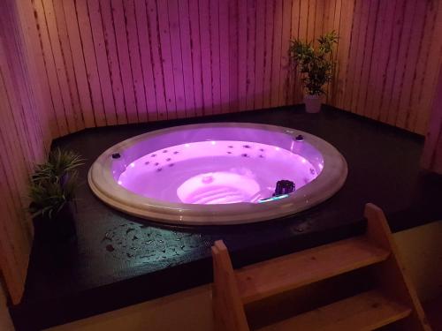 Jacuzzi & Sauna Villa 2