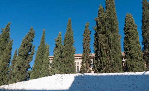La casa de los pintores, patio andaluz, cerca del Albaicín, Granada (fotografie 9)