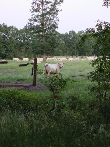 Ferienbauernhof Ennenhof