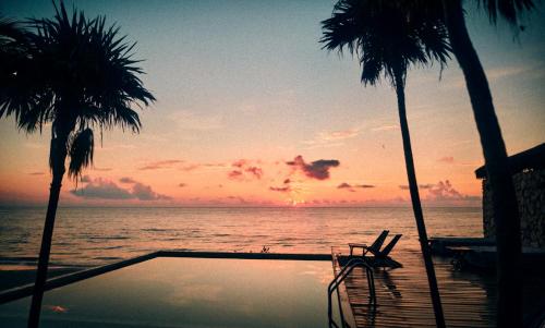 Beach, Our Habitas Tulum Adults Only in Tulum