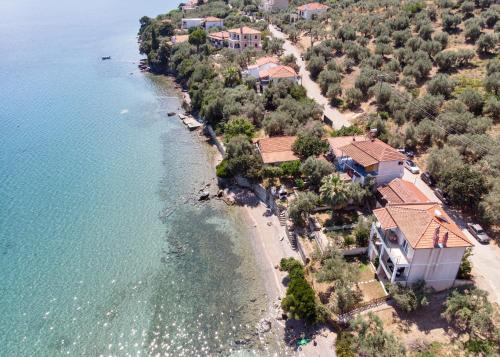 Villas Nies Seaside Appartments - Πτελεός