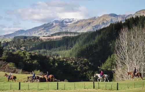 Mohaka River Farm