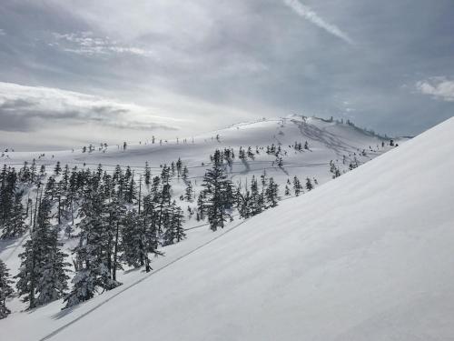 Angel Resort Yuzawa 914                                                               LIVE JAPAN             