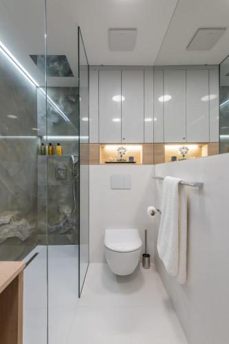 Fully renovated stylish duplex in a convenient location, Praha (fotografie 10)