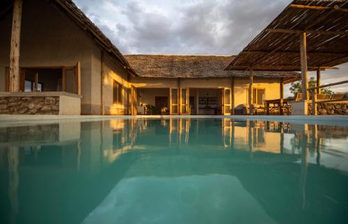 Manyara's Secret in Ngorongoro