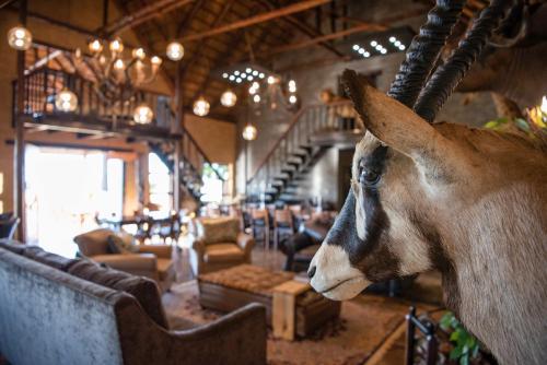 Viesnīcas āriene, Morakane Safari Lodge in Vryburg