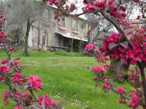 Il Giardino delle Esperidi – Fosdinovo, WI