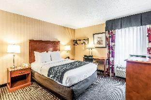 Comfort Inn & Suites Alexandria Van Dorn Street