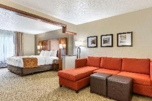 Comfort Suites Grand Rapids North Comstock Park