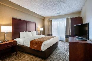 Comfort Inn Downtown Orlando