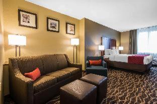 Comfort Suites Tampa Airport North