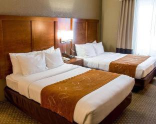 Comfort Suites South Grand Rapids