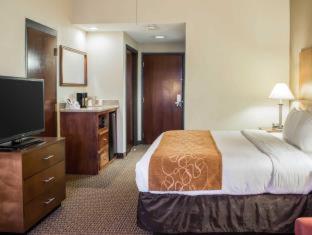 Comfort Suites Raleigh Durham Airport/RTP