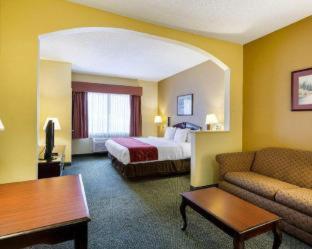 Comfort Suites Bush Intercontinental Airport Hotel