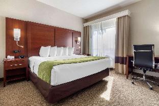 Comfort Suites Omaha East-Council Bluffs