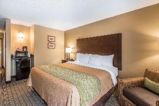 Comfort Inn & Suites Kansas City - Northeast, Kansas City (foto 8)