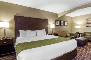 Comfort Inn and Suites Kansas City - Northeast