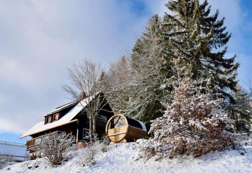 Ferienhaus "Am Wäldle"