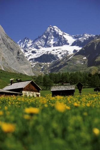 Alpengasthof Pichler