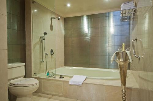 Hotel Dann Carlton Medellín, Медельин (фото 4)