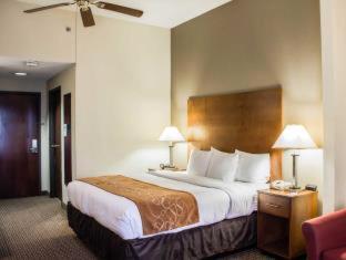 Comfort Suites Raleigh Durham Airport/RTP