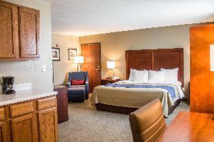 Comfort Inn & Suites, Fremont (photo 8)