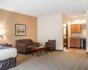 Comfort Inn and Suites Hamburg